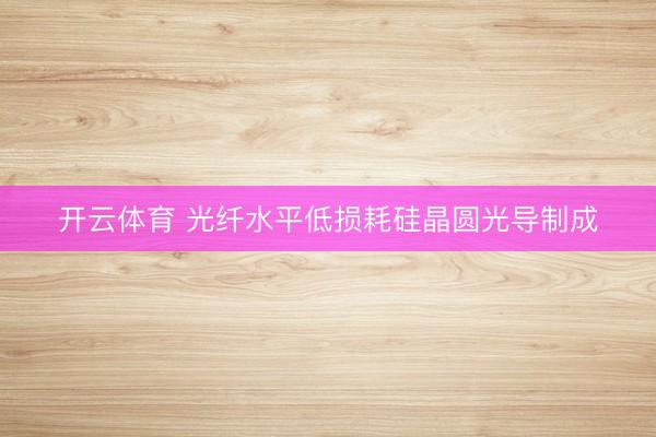 开云体育 光纤水平低损耗硅晶圆光导制成