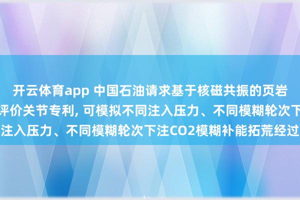 开云体育app 中国石油请求基于核磁共振的页岩油补能新神气室内践诺评价关节专利， 可模拟不同注入压力、不同模糊轮次下注CO2模糊补能拓荒经过