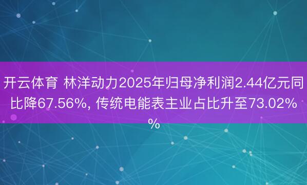 开云体育 林洋动力2025年归母净利润2.44亿元同比降67.56%， 传统电能表主业占比升至73.02%