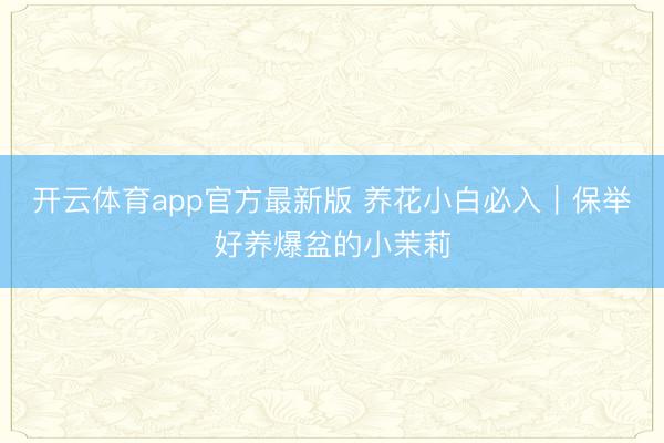 开云体育app官方最新版 养花小白必入｜保举好养爆盆的小茉莉