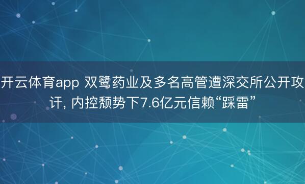 开云体育app 双鹭药业及多名高管遭深交所公开攻讦， 内控颓势下7.6亿元信赖“踩雷”
