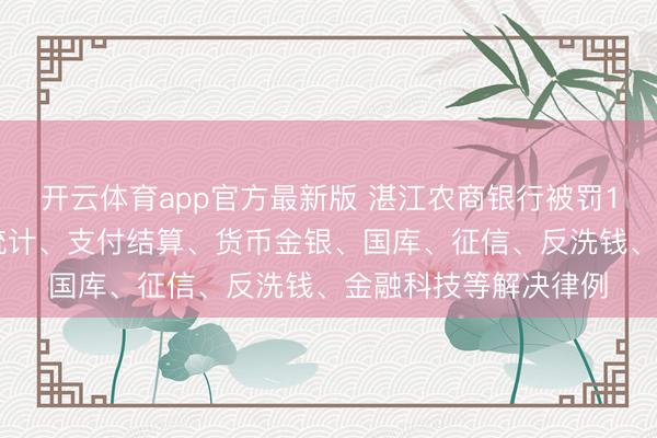 开云体育app官方最新版 湛江农商银行被罚175万元：违抗金融统计、支付结算、货币金银、国库、征信、反洗钱、金融科技等解决律例