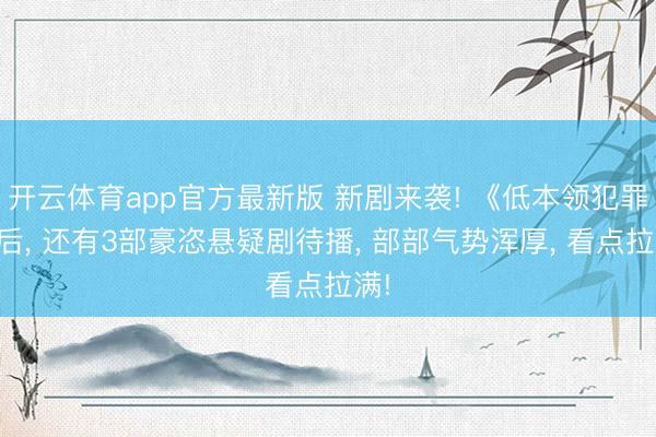 开云体育app官方最新版 新剧来袭! 《低本领犯罪》后， 还有3部豪恣悬疑剧待播， 部部气势浑厚， 看点拉满!