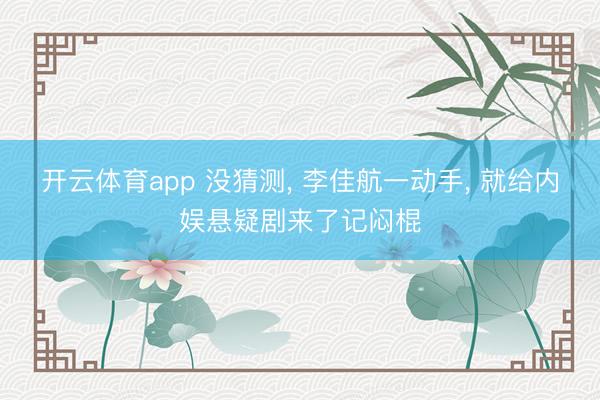 开云体育app 没猜测, 李佳航一动手, 就给内娱悬疑剧来了记闷棍
